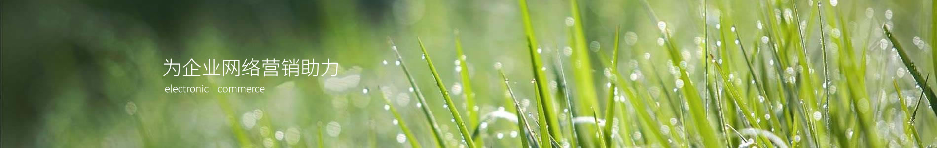 ɴҵƼ޹˾